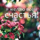 ���� �������, �����-���������, 49 ��� - ��������� 13 ����� 2026