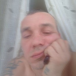 ������, ������, 46 ���