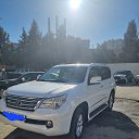 ���� Niko, ����, 40 ��� - ��������� 5 ������ 2024 � ������ ���� ����������