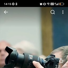 ���� ������, �����-���������, 41 ��� - ��������� 17 ������ 2026