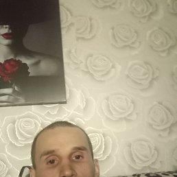 , 29, 