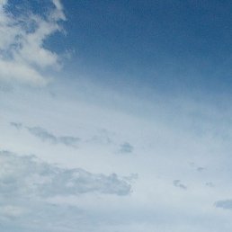 ��������, ������, 38 ���