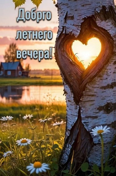   ,    . - 16  2025  17:15 - 3