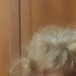 �������, �������, 56 ���