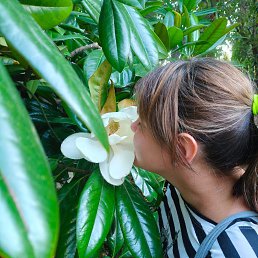 ���� ���������, �����, 33 ���� - ��������� 28 ������ 2026