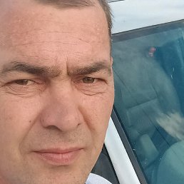 �����, ����, 43 ����