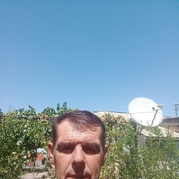  , 46, 