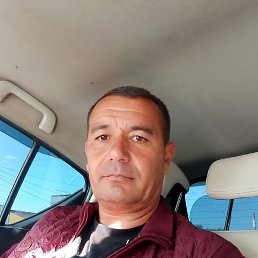  , 43, 