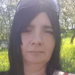 ������, ����, 40 ���
