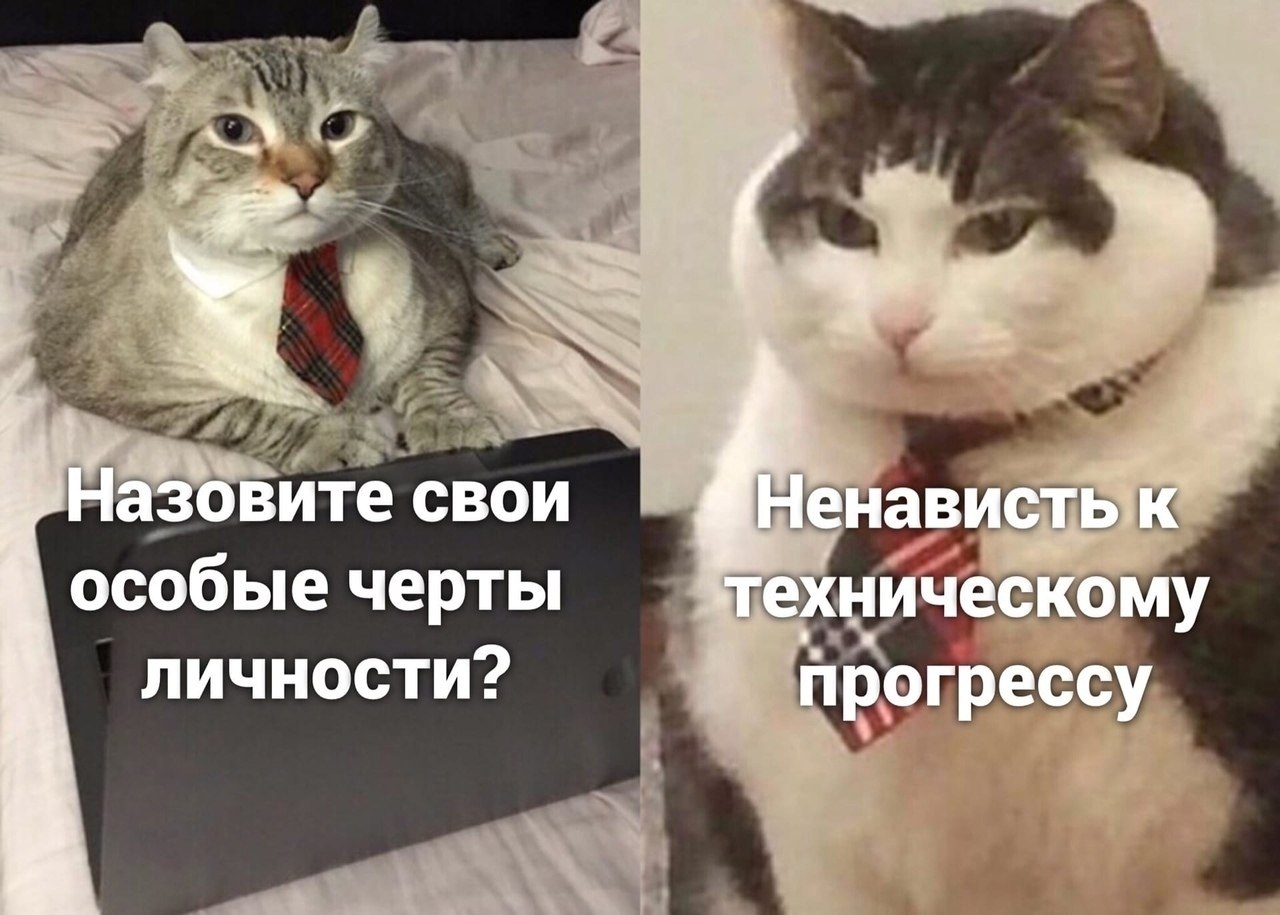 ������ �� ���������)