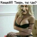 ���� ������, ������-��-����, 54 ���� - ��������� 8 ������ 2025 � ������ ������ ��������