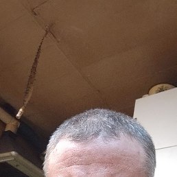, 37, 