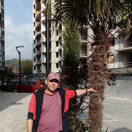 , 38, 