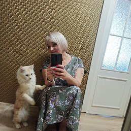 ���, �����, 56 ���