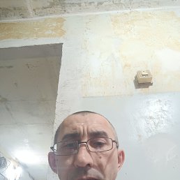 , 53, 