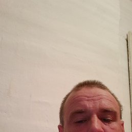 ������, ������, 46 ���