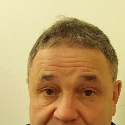 , 52, 
