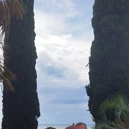 �������, ���������, 51 ���