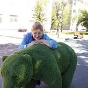 ���� ������, �������� - ��������� 24 ������ 2024 � ������ ���� ����������