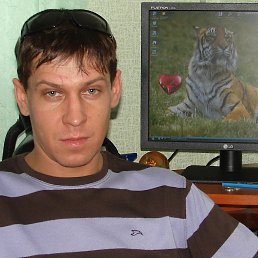 ������, 51 ���, ������