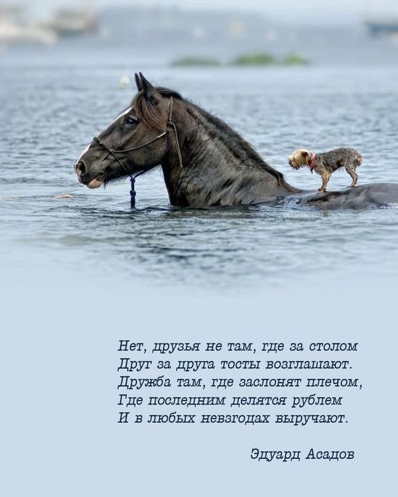 ₪╬═►  ||  ||  ◄═╬₪ - 11  2024  15:16