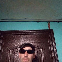 ���� ����, ����, 41 ��� - ��������� 5 ������� 2024