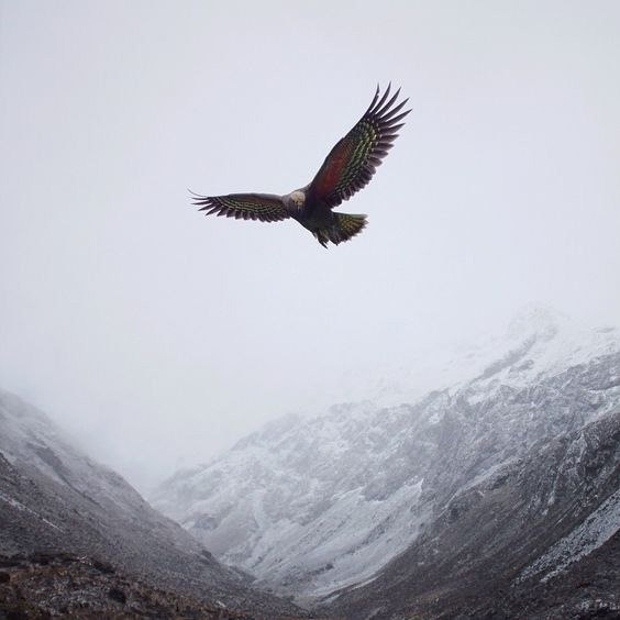 ����� �������� ���� � ��������. ��-�� ���� �� ������ ��, ��� ����� �� ��������, �� ���� �� ...