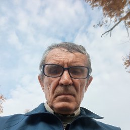 , 67, 