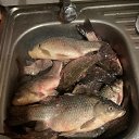 ���� ���������, ������, 57 ��� - ��������� 7 ������ 2024 � ������ ���� ����������