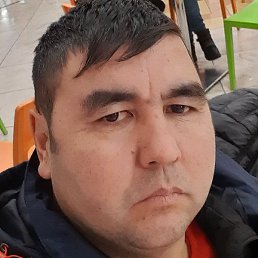 ����, �����-���������, 43 ����