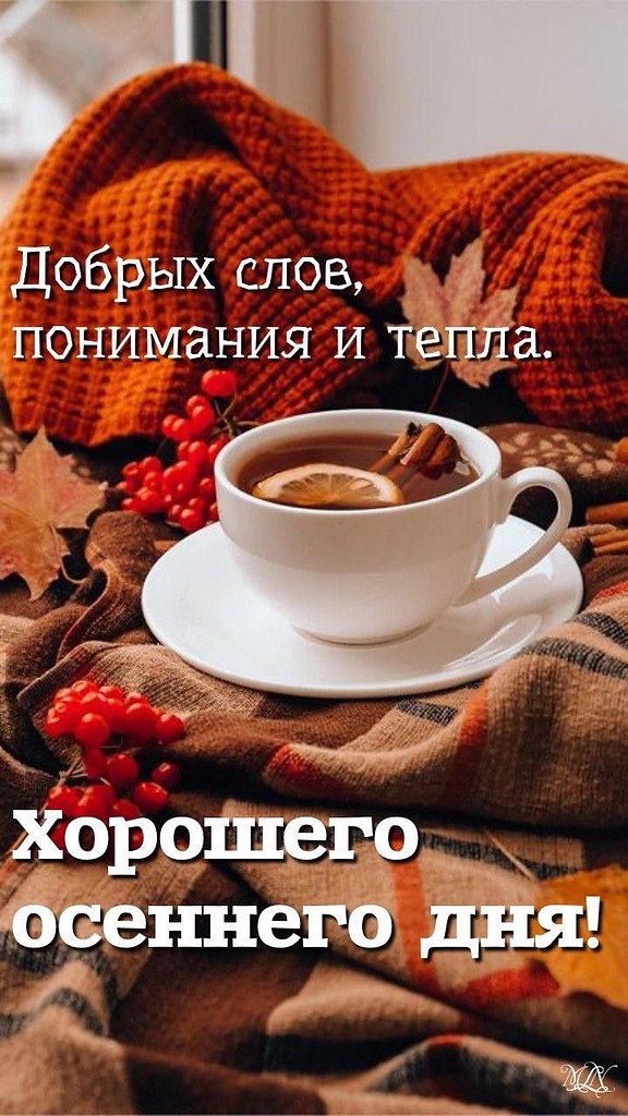   ,    . - 18  2025  14:13