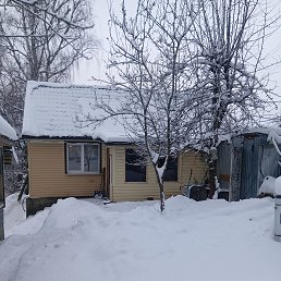 ���� ������, ����, 62 ���� - ��������� 6 ������ 2026