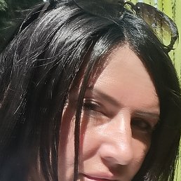 �����, ����, 49 ���