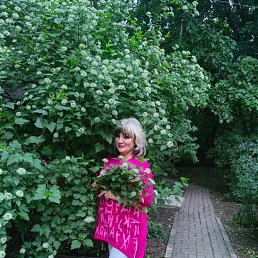 , 57, 