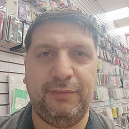 ����� (����), �����������, 43 ����