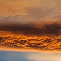 ����, ���������, 37 ���