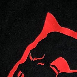 ������, ������ ��������, 22 ����