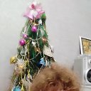 ���� �����, �����������, 55 ��� - ��������� 2 ������ 2026 � ������ ���� ����������
