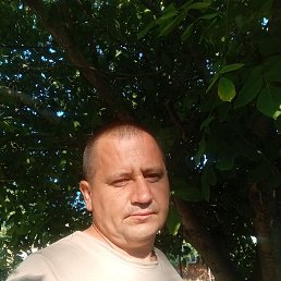 , 39, 