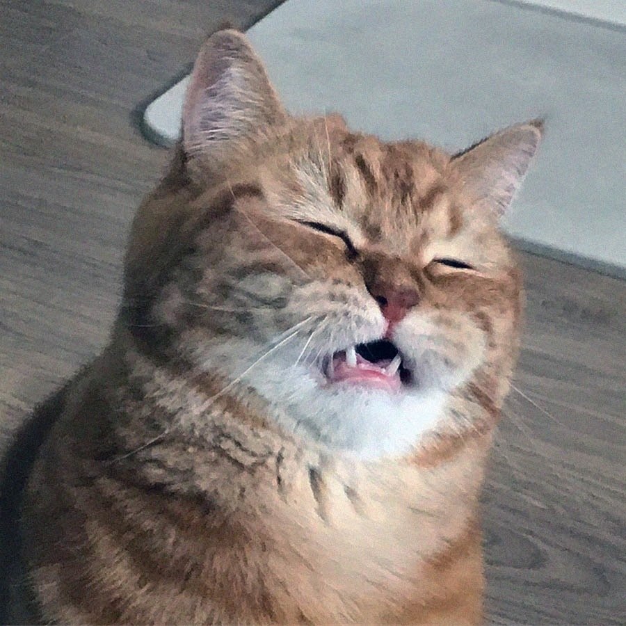   .     !