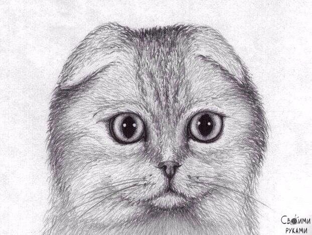 ������ ������ ������� ����������