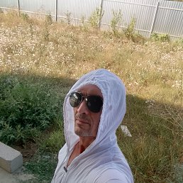 , 46 , --