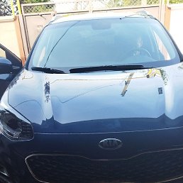 �������, ������, 51 ���