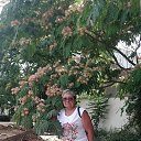 ���� �������, ������ ��������, 69 ��� - ��������� 30 ������ 2026 � ������ ���� ����������