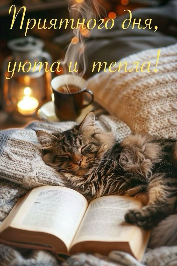   ,    . - 10  2025  13:02 - 4