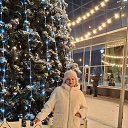 ���� �������, �����, 66 ��� - ��������� 8 ������ 2026 � ������ ���� ����������