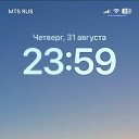 ���� ������, �����, 43 ���� - ��������� 5 ������ 2026