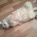 ���� ����, ������, 35 ��� - ��������� 29 ������ 2024