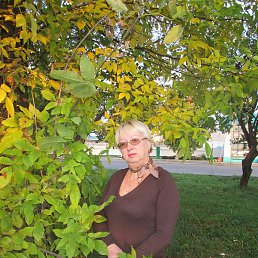 �����, ������, 64 ����