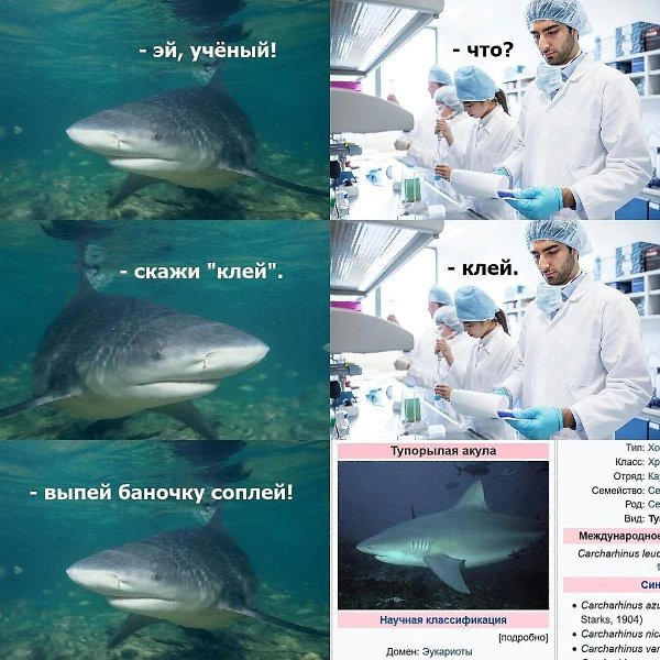  Just Business - 9  2025  16:01